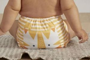 Baby Reusable and Washable Diapers